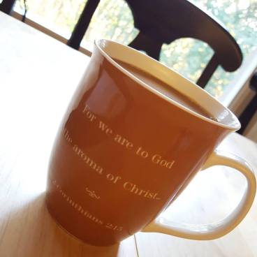 15085547_10211140271962987_6575471649633036569_n