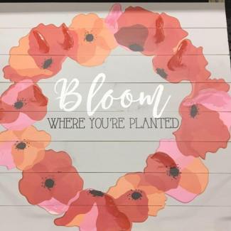 29511477_10213980157632296_7086713042562182451_n